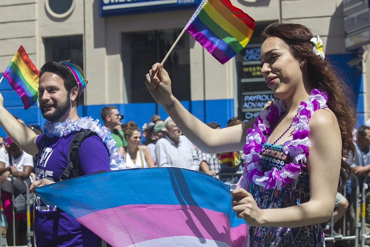 Transgender pride flag at an outdoor gathering