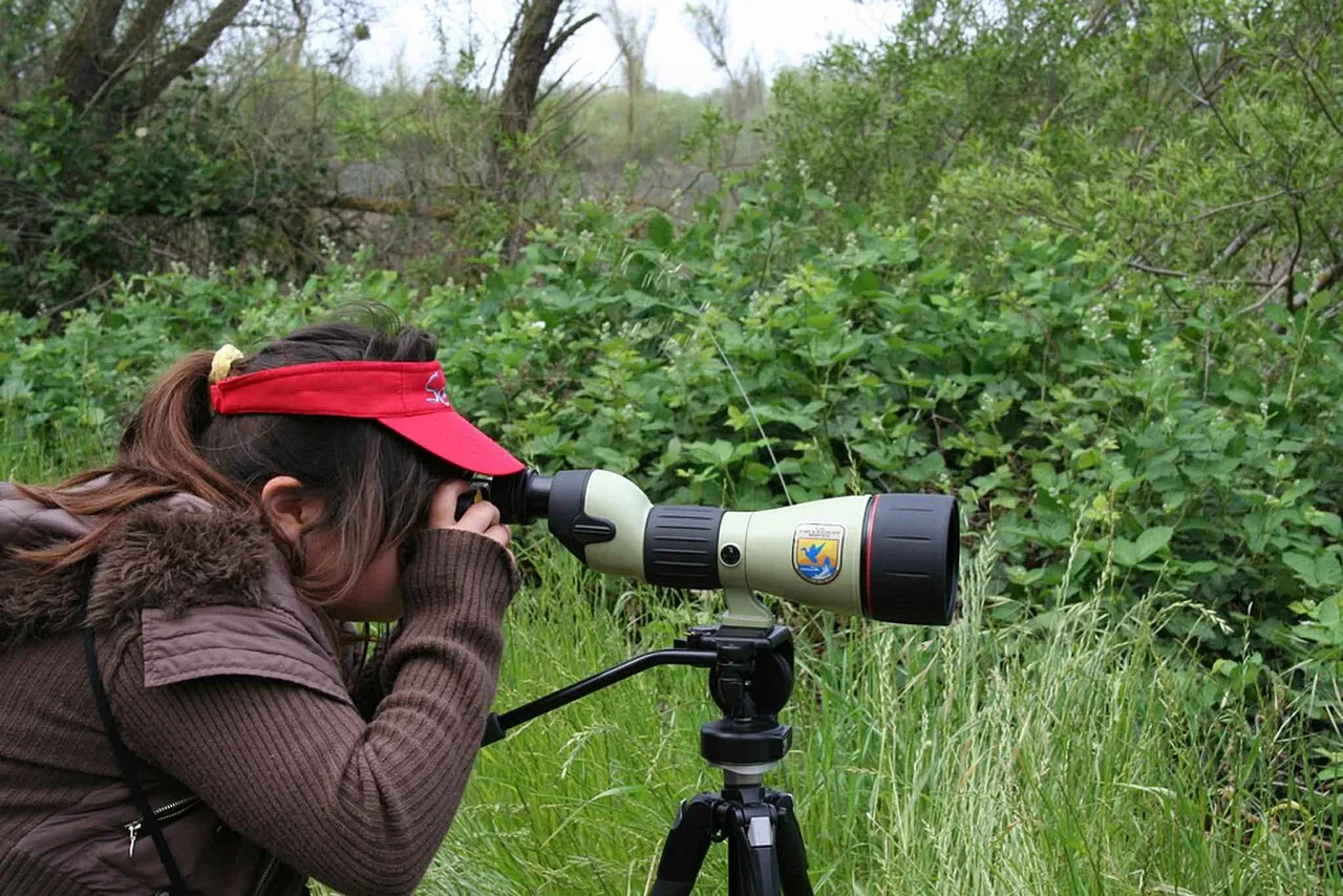 Camera operator preparing equipment for a live production